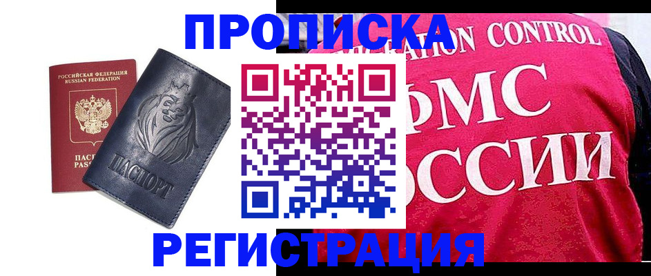 где прописаться в Звенигово